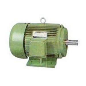 3 Phase Motor